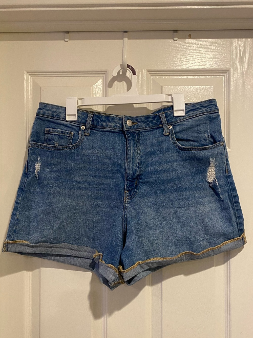 wild fable Denim Shorts